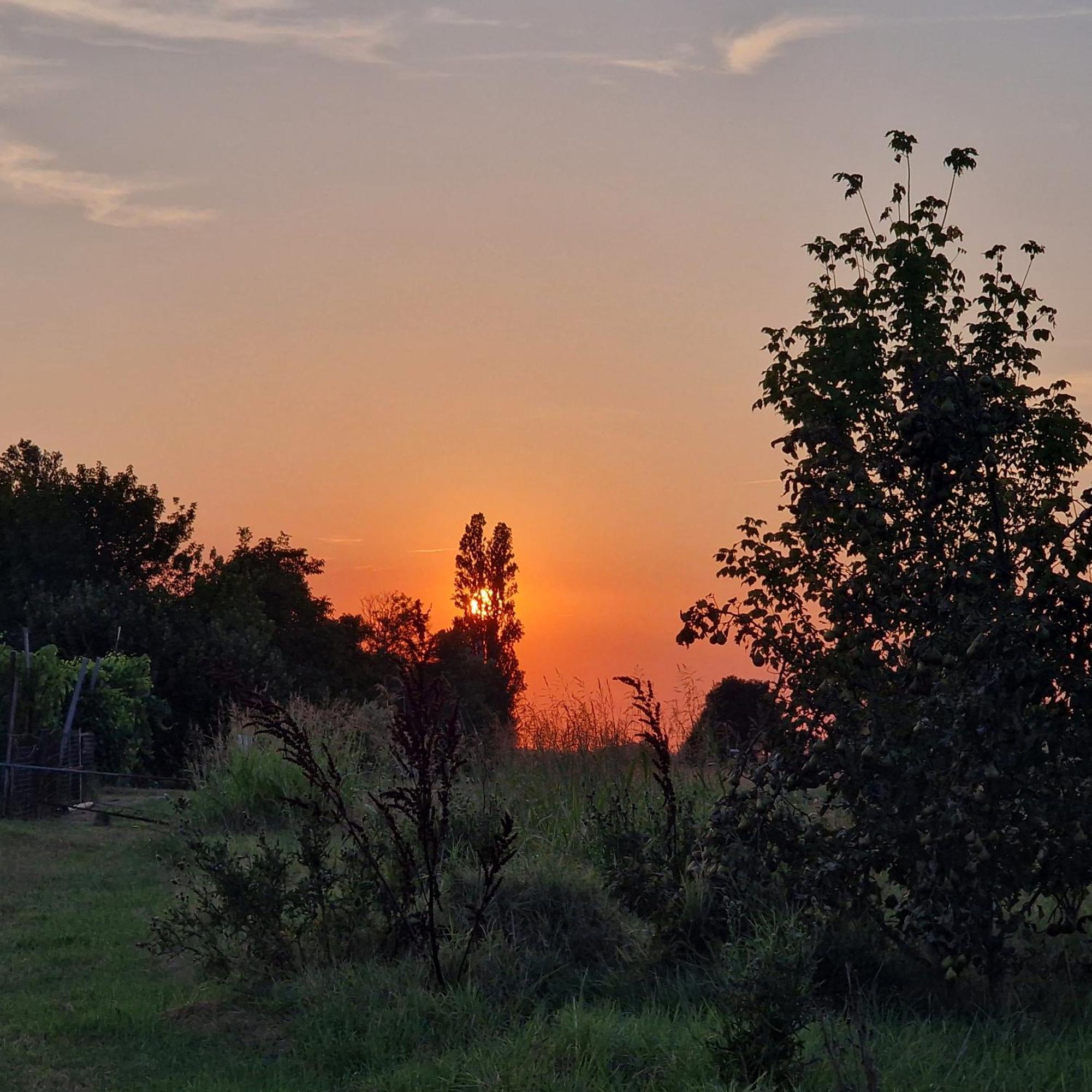 Appartamento Divino Tramonto Altedo エクステリア 写真